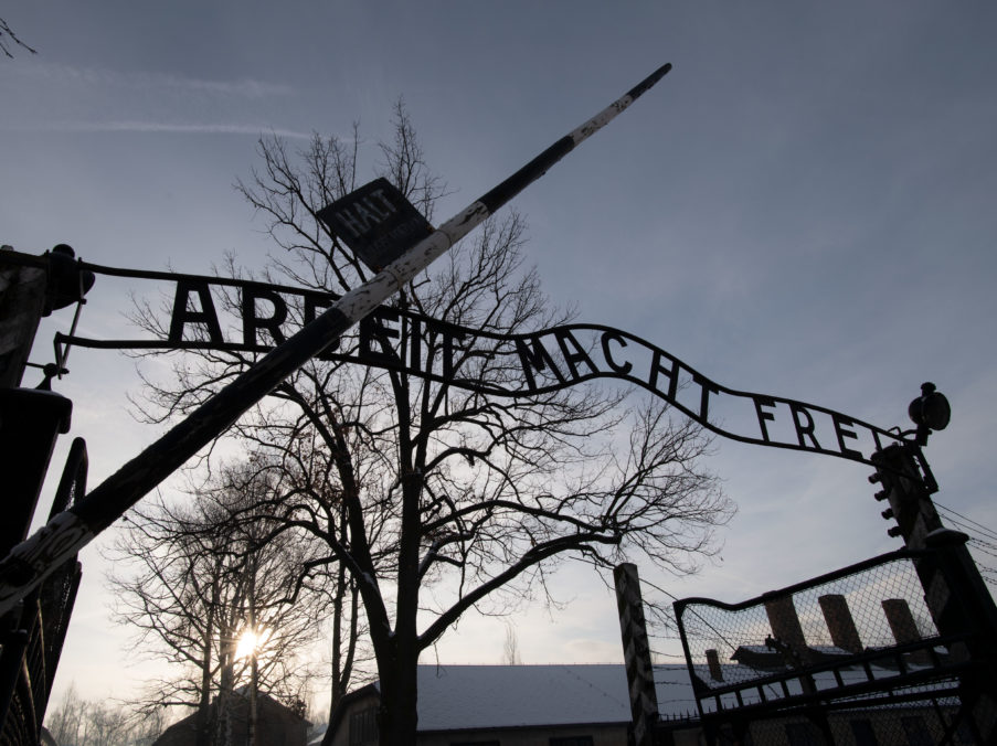 Survivors Mark Holocaust Remembrance Day On 74th Anniversary Of ...