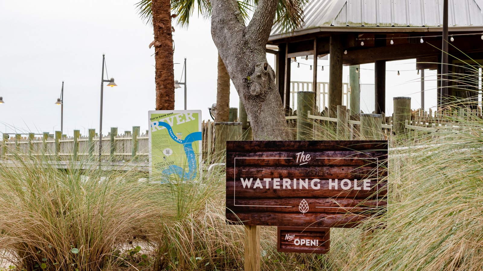 The Watering Hole At Jzg Wjct The Watering Hole At Jzg Wjct