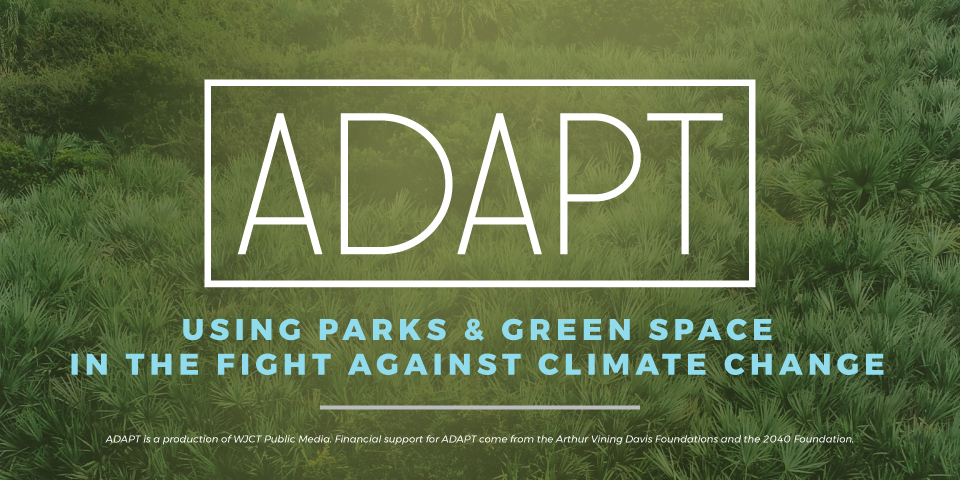ADAPT: Using Parks & Green Space In The Fight Against Climate Change