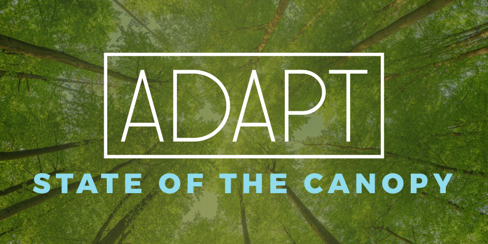 ADAPT: State of the Canopy
